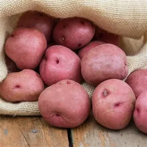 Potatoes, Red